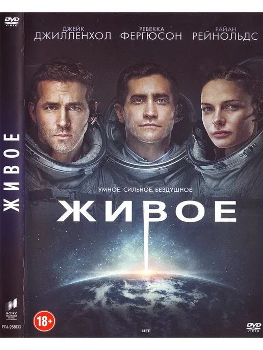 Dvd Диски Эротика купить на OZON по низкой цене