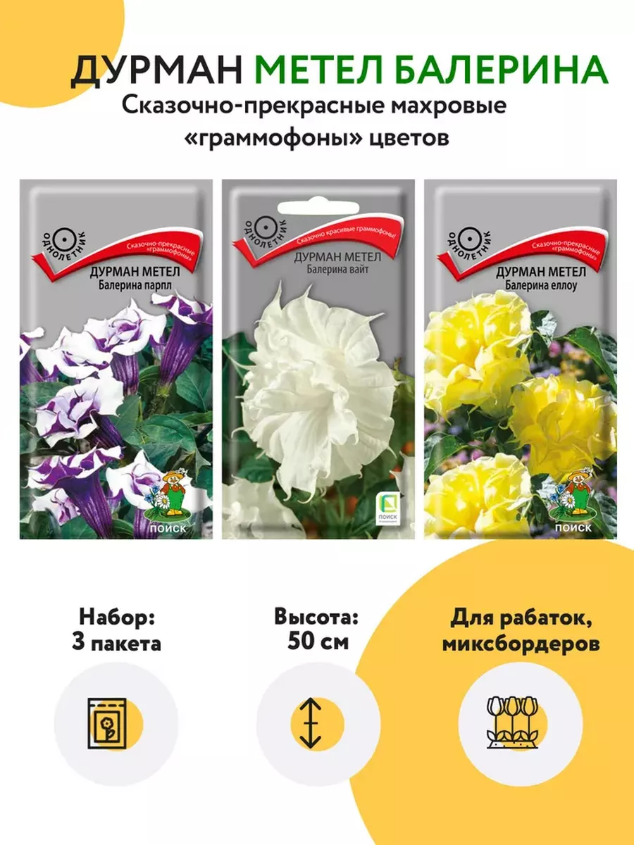 Семена Дурмана - купить однолетние цветы в интернет-магазине с доставкой Почтой России