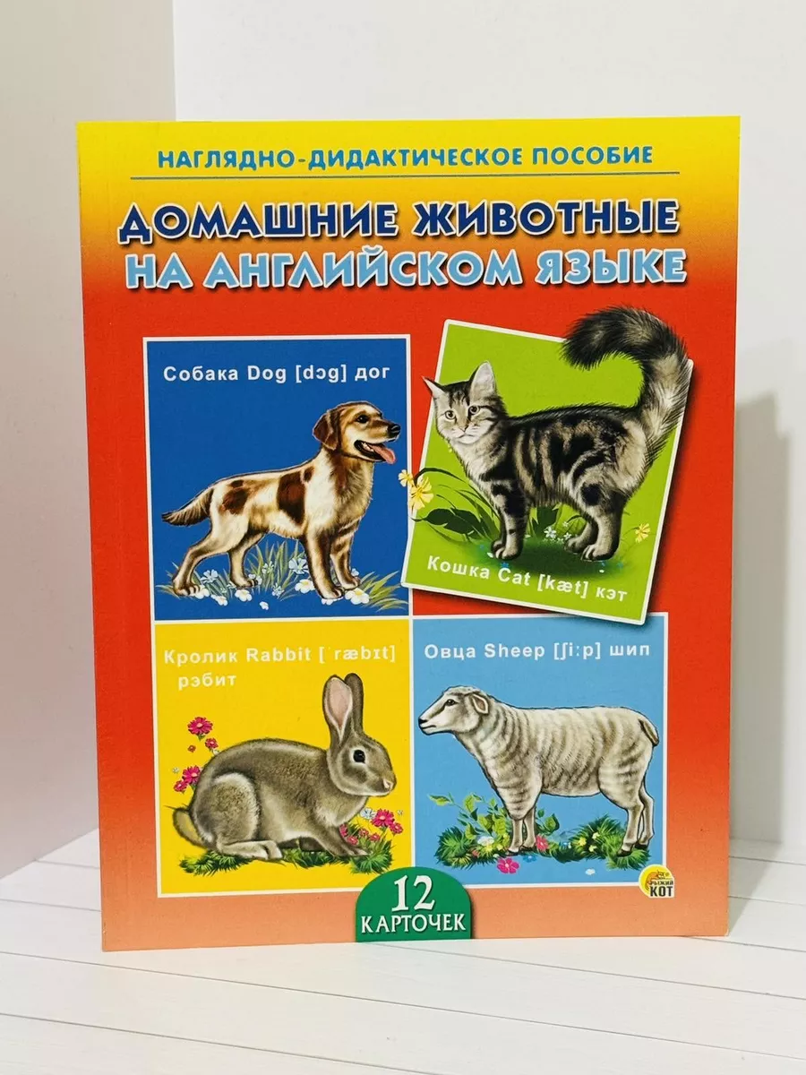 Карточки, Домашние животные на Английском языке Рыжий кот купить по цене  186 ₽ в интернет-магазине Wildberries | 192116029