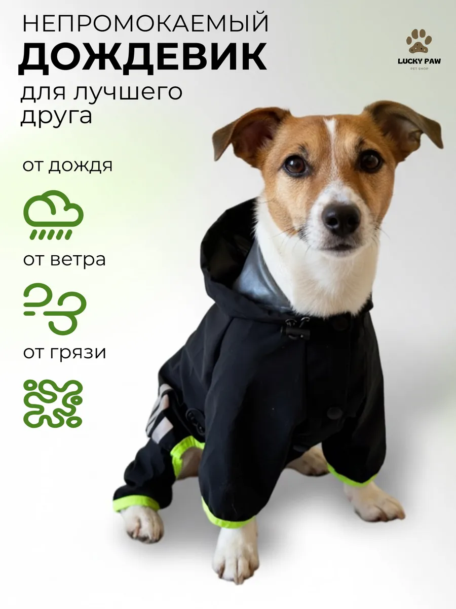 Wildberries — интернет-магазин модной одежды, обуви и аксессуаров