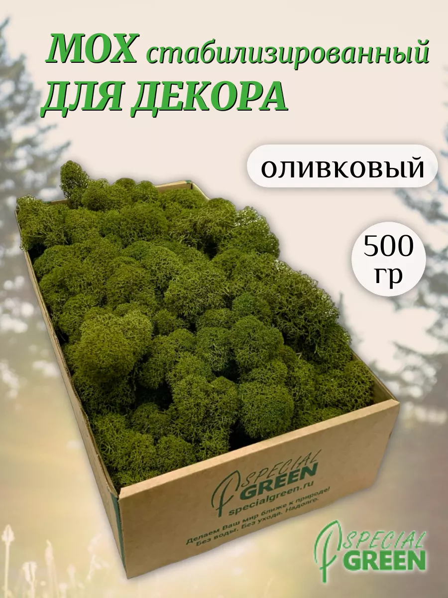 Мох стабилизированный ягель 500 гр SPECIALGREEN купить по цене 2 223 ₽ в  интернет-магазине Wildberries | 192157905