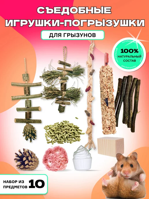 Какие игрушки и аксессуары нужны в клетке хомяка?