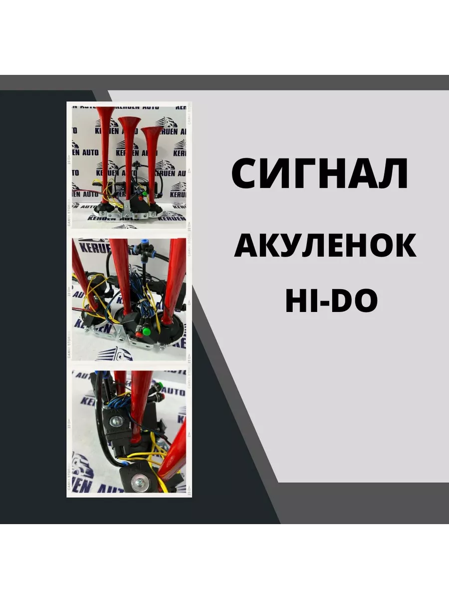 Сигнал Арабский горн с мелодией Акуленок Hi do купить по цене 2 046 200 сум  в интернет-магазине Wildberries в Узбекистане | 192666842