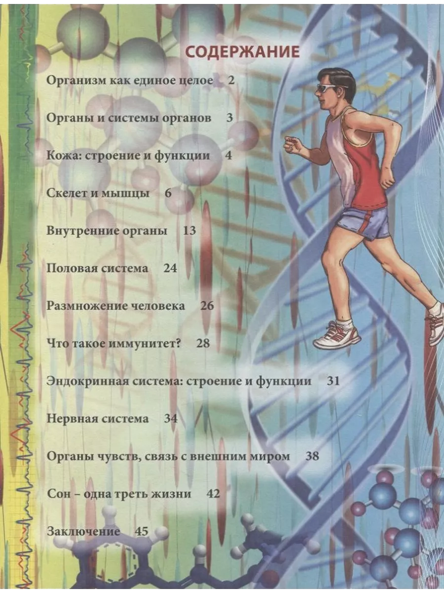 Тело человека. Энциклопедия Издательство Проф-Пресс купить по цене 328 ₽ в  интернет-магазине Wildberries | 193210808