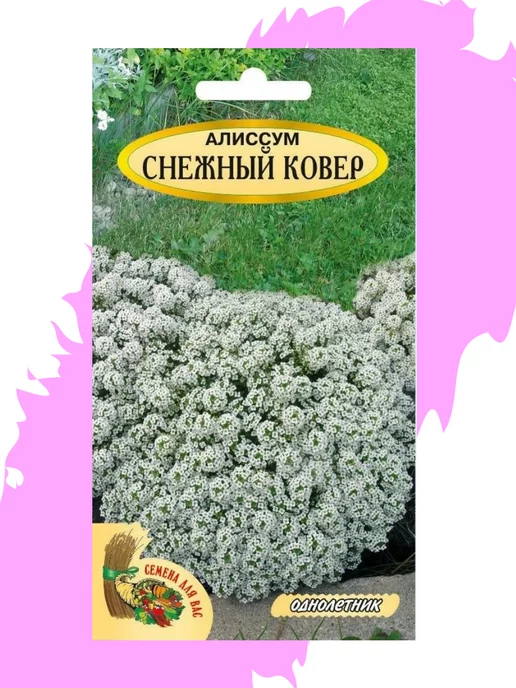 Семена алиссум Поиск Снежный ковер 51130 1 уп. - купить в Семь Семян, цена на Ме