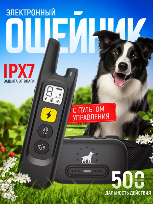 шокер