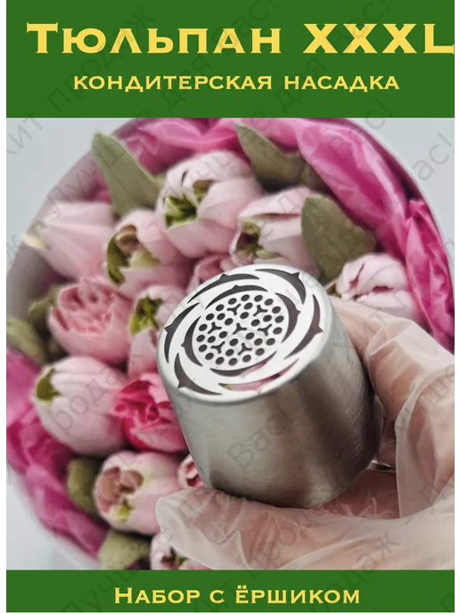 Тюльпаны в саду: популярные сорта, посадка, уход🌷