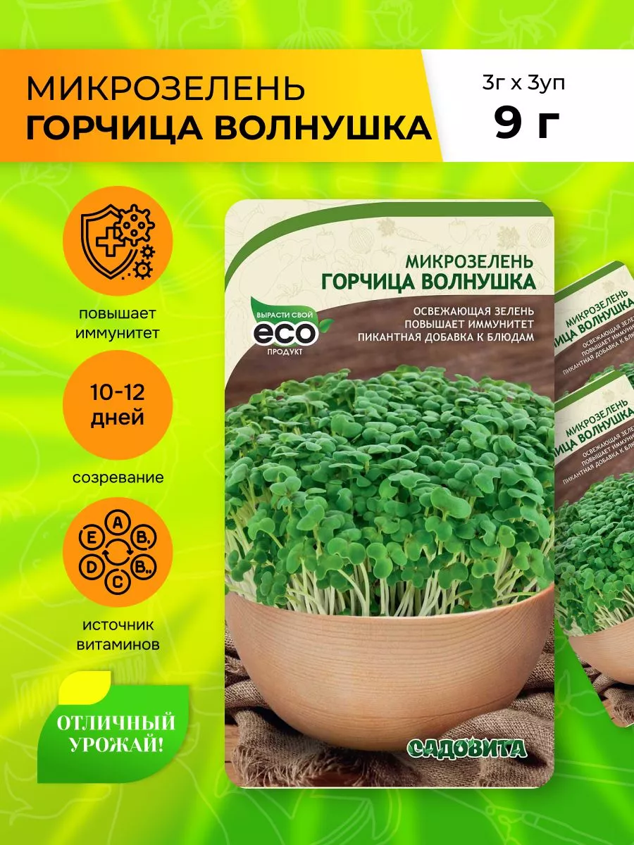 Микрозелень Горчица Волнушка 3гр СадоВита купить по цене 207 ₽ в  интернет-магазине Wildberries | 194823523