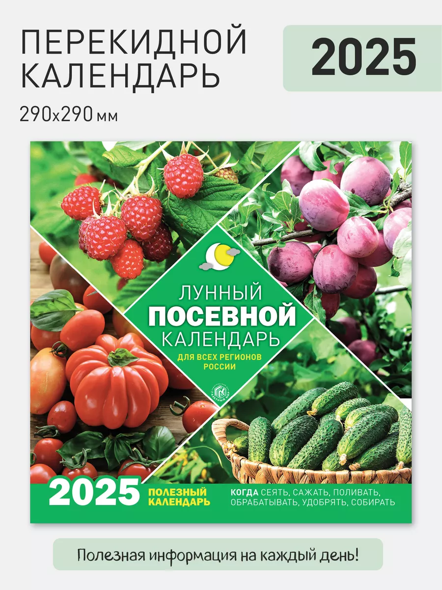 Читать книгу: «Календарь лунных дней на 2024 год. Астрологический прогноз»