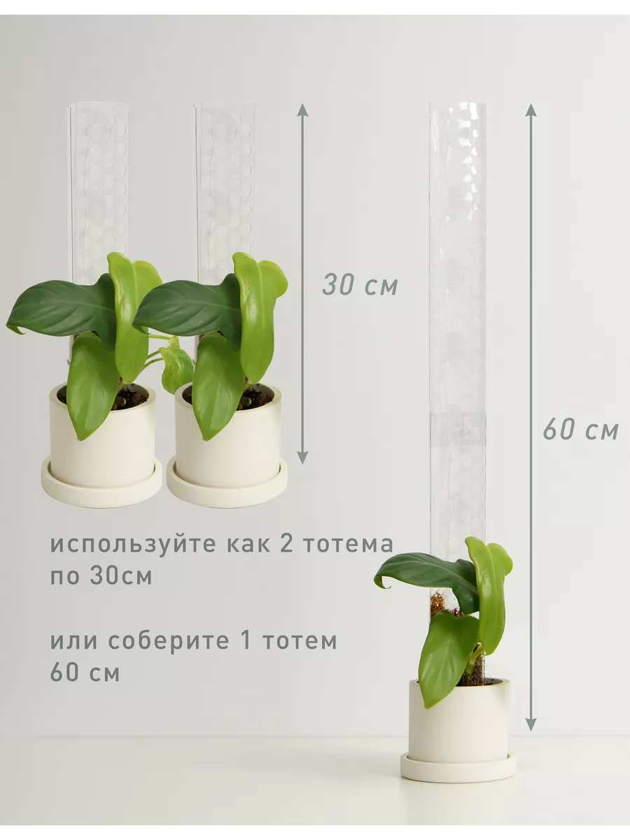 Тотем опора для комнатных растений, прозрачный Plant*Secrets купить по цене  44,10 р. в интернет-магазине Wildberries в Беларуси | 196871344