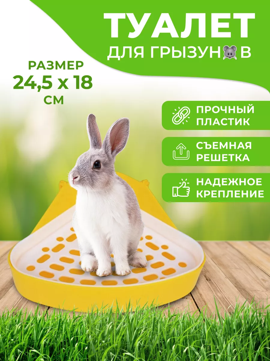 Лоток для грызунов угловой для кроликов Туалет Pets and home купить по цене  16,66 р. в интернет-магазине Wildberries в Беларуси | 196920095