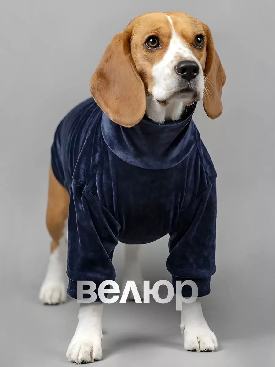 DoggyDress Одежда для собак велюр