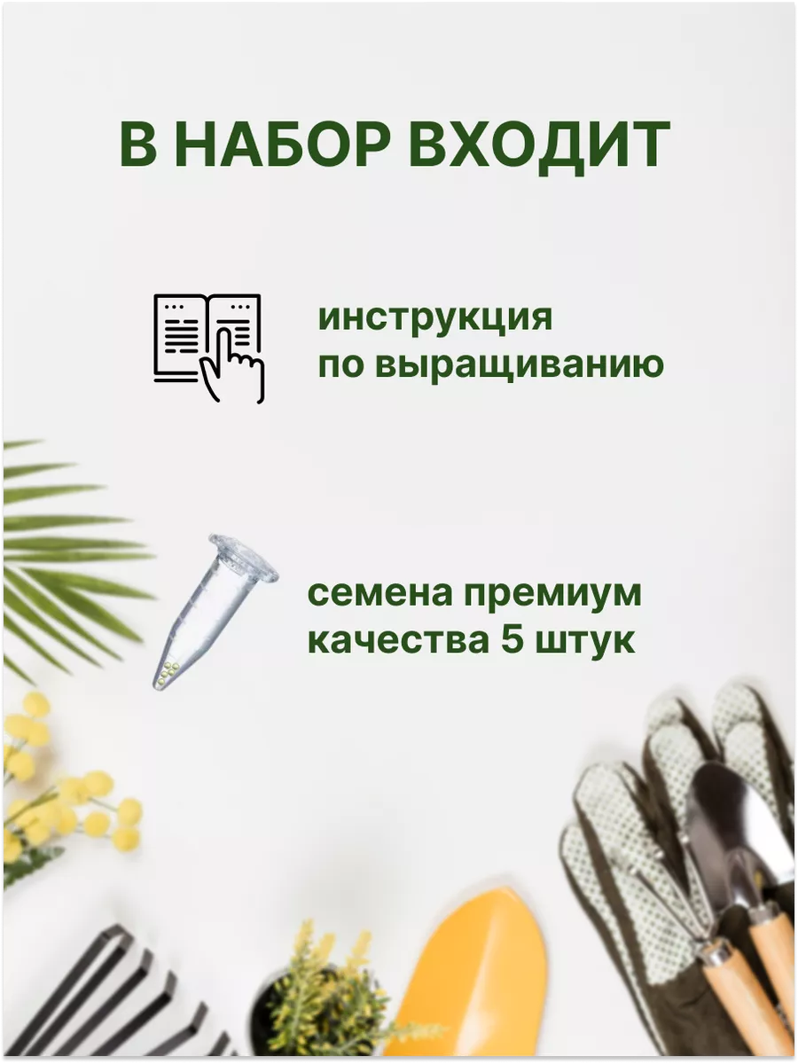 Марафон нежности к себе от Оли Примаченко