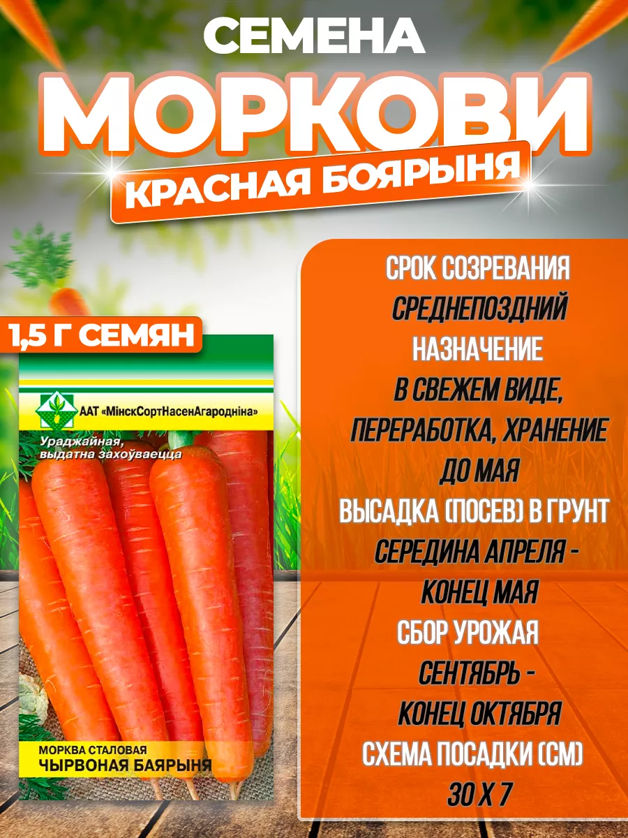 Секреты выращивания моркови