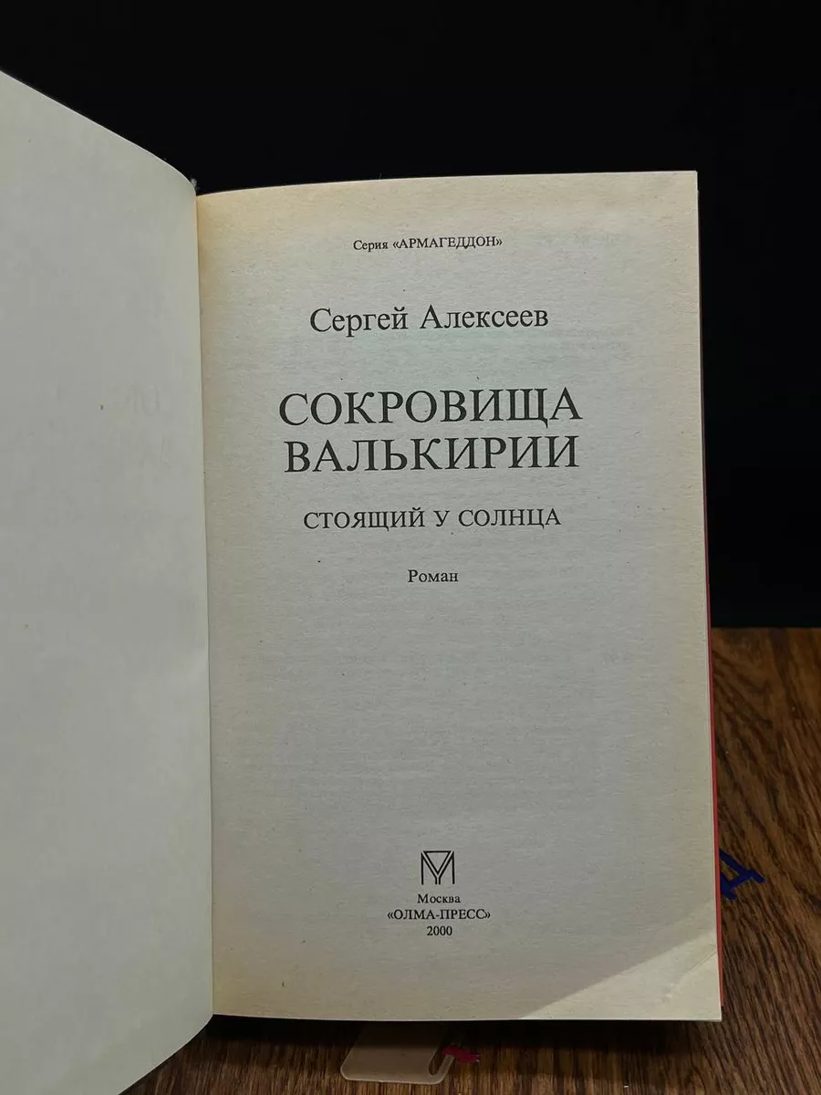 Сокровища Валькирии. Книга 1. Стоящий у солнца