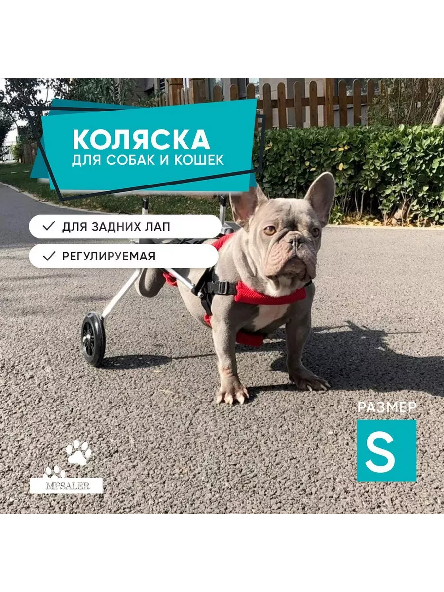 ➤Инвалидная коляска для собак DogCARE №1 XS купить в ➤Минске с доставкой недорого