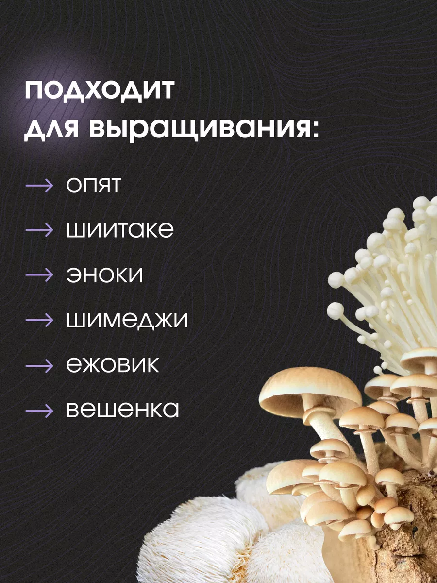 Шампиньоны, вешенки и белые грибы в теплице на продажу. Подробная инструкция