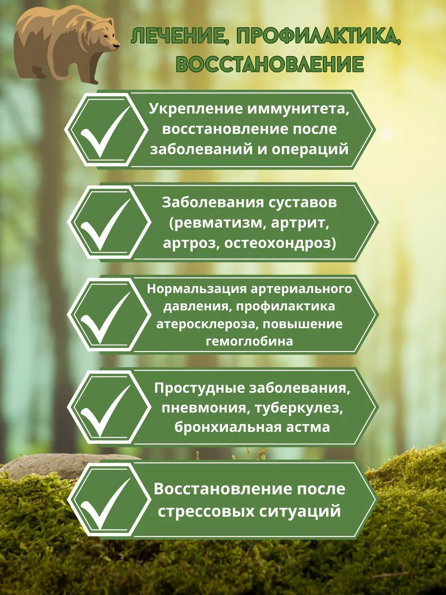 Медвежий жир: полезные свойства, противопоказания, рецепты для применения