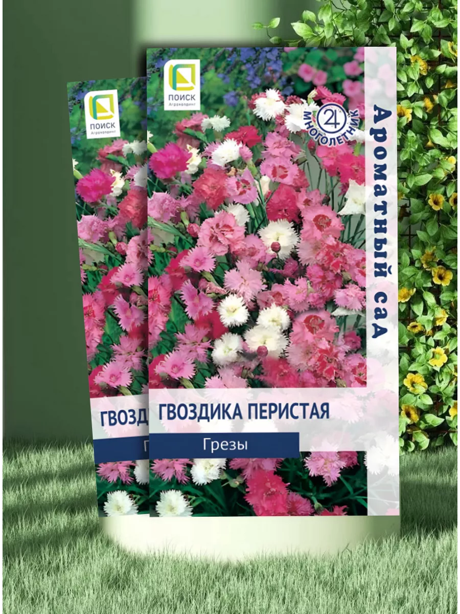 Гвоздика перистая многолетняя ПОИСК купить по цене 136 ₽ в  интернет-магазине Wildberries | 198459724