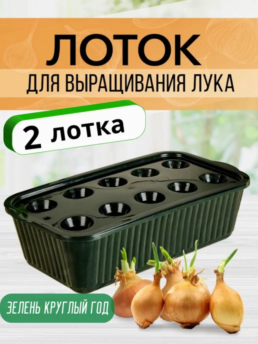 Купить Лоток для выращивания зелёного лука хх85мм М в Вологде по низкой цене