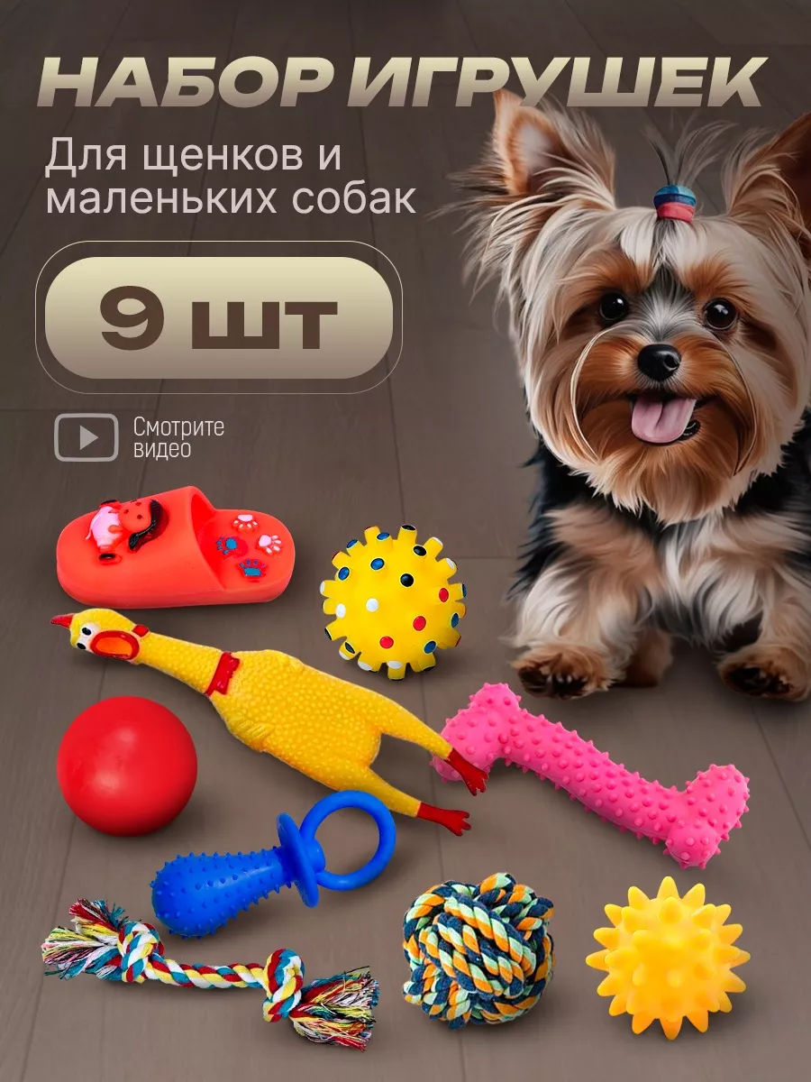 Drop.shop Игрушки для собак мелких пород набор