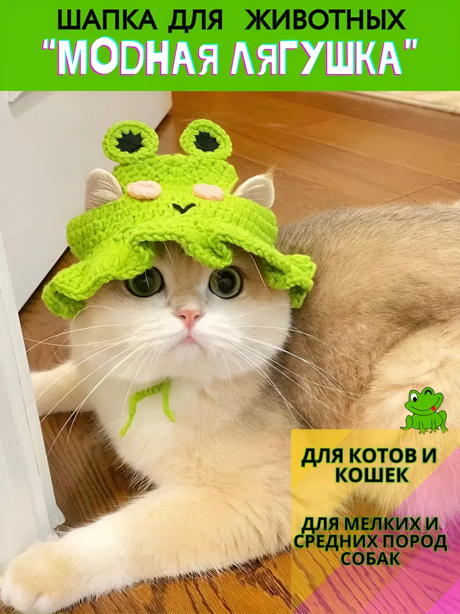 Котик с шапочкой лягушки