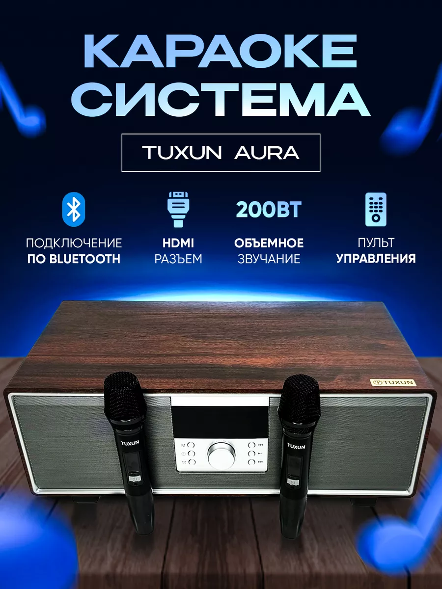 Караоке система для дома Tuxun купить по цене 1 528,15 р. в  интернет-магазине Wildberries в Беларуси | 202163141