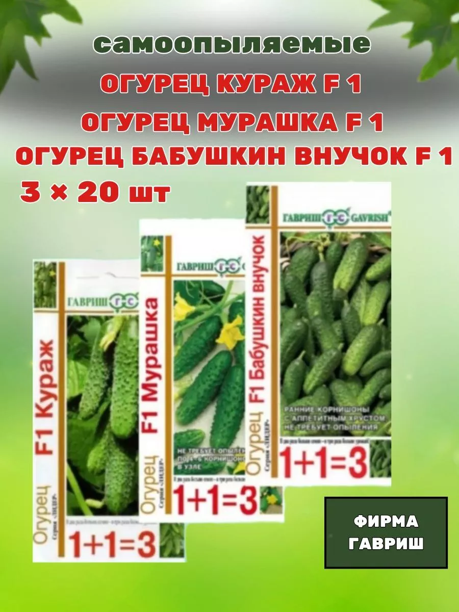 Любимый Внучок Огурец Купить Семена