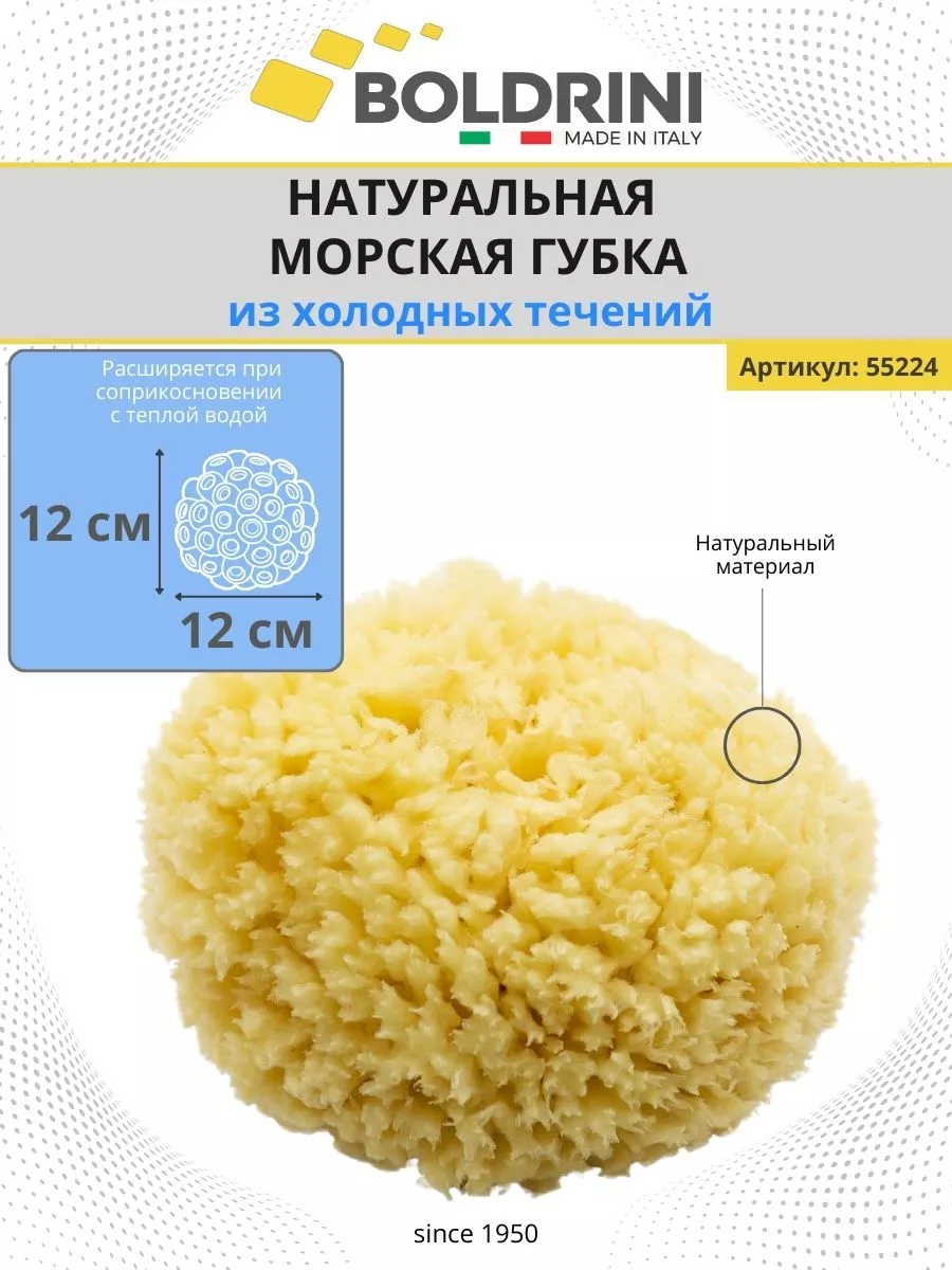 Губка морская для декоративных красок и штукатурок 12х12см Boldrini купить  по цене 1 712 ₽ в интернет-магазине Wildberries | 203551162